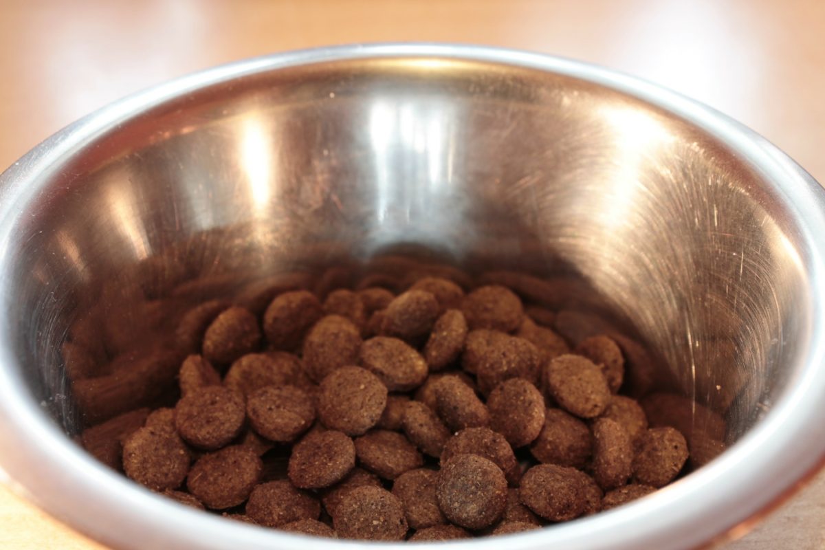How To Find The Very Best Dry Dog Food